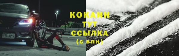 соль ск Алзамай