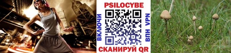 kraken как зайти  Йошкар-Ола  Галлюциногенные грибы ЛСД  купить наркотик 