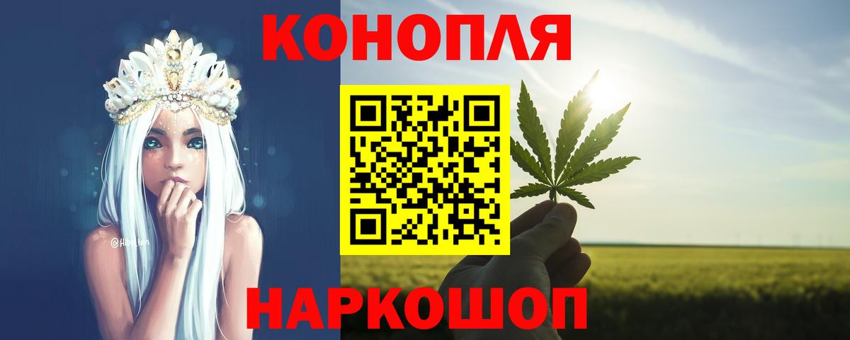 Конопля сатива Йошкар-Ола